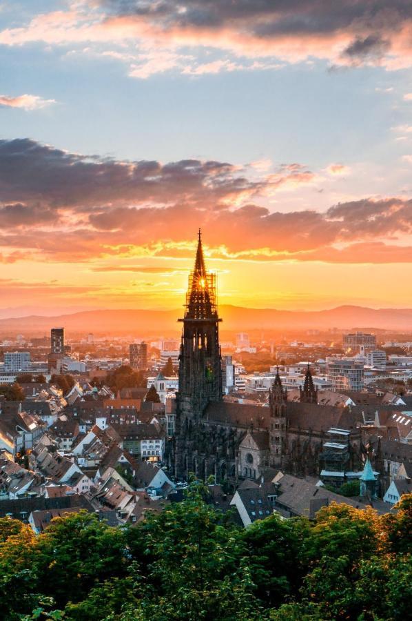 City Lux Apartment in der Stadt Freiburg im Breisgau Buitenkant foto