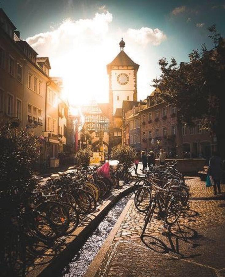 City Lux Apartment in der Stadt Freiburg im Breisgau Buitenkant foto
