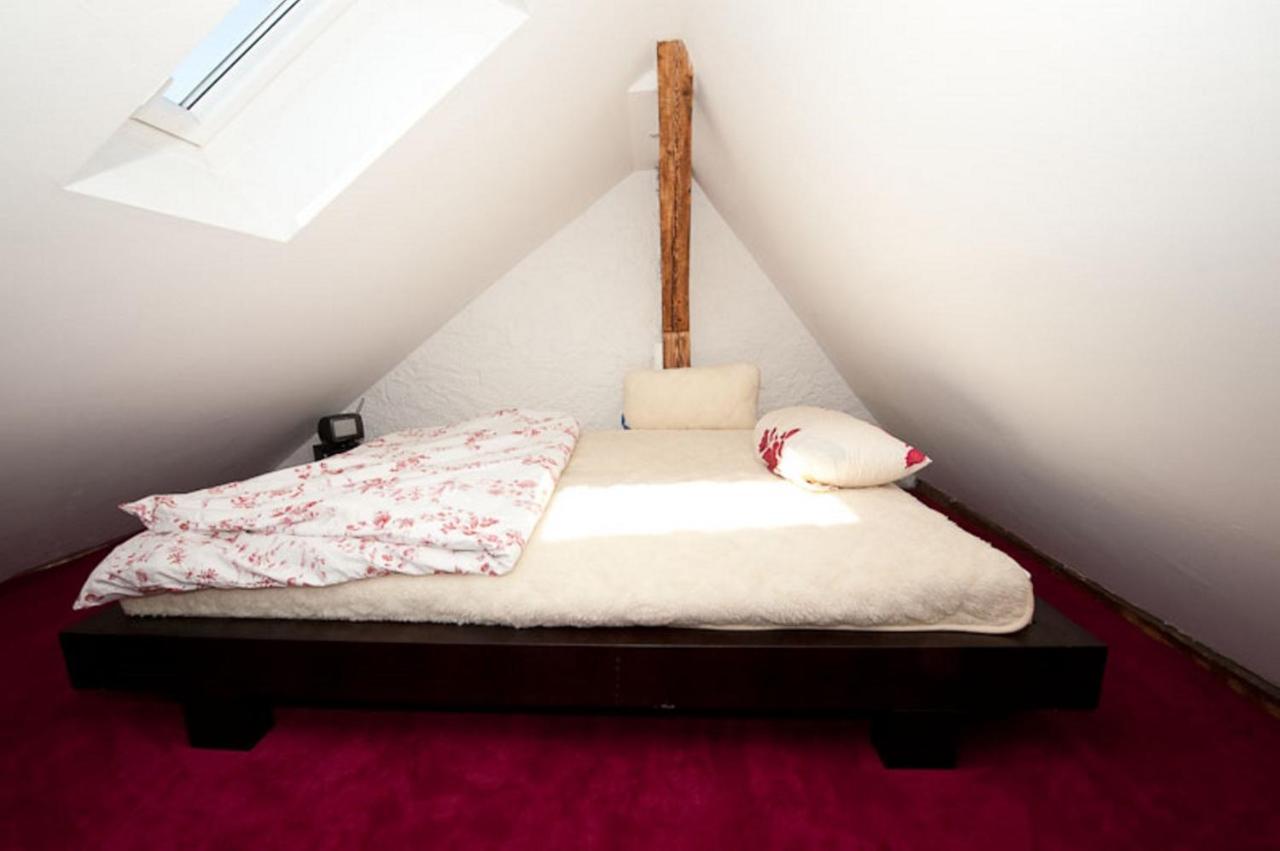 City Lux Apartment in der Stadt Freiburg im Breisgau Buitenkant foto